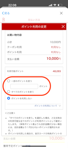 楽天市場でのポイント払いのやり方3